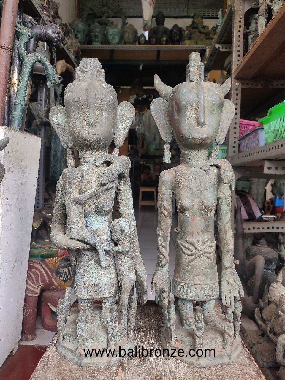 1186 Primitive Timor 47 cm TGDY